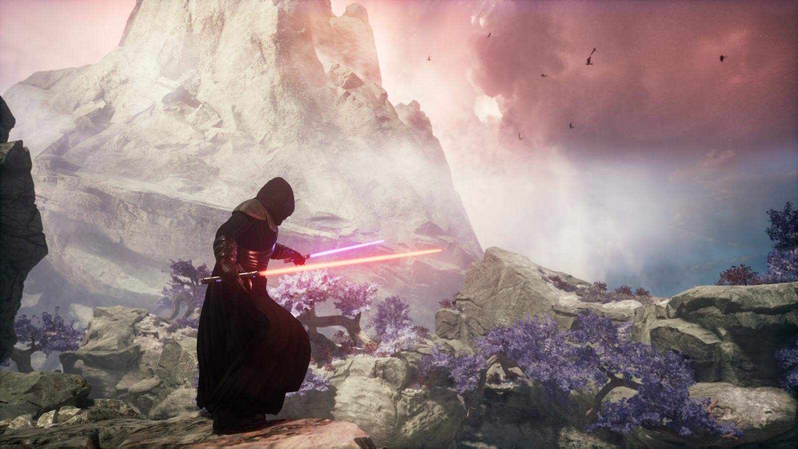 Wallpaper Star Wars, Jedi Survivor, Jedi Fallen Order, Cal Kestis