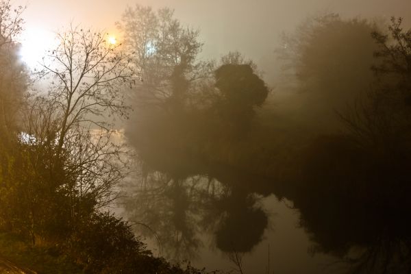 sunlight,trees,landscape,cityscape,night,water