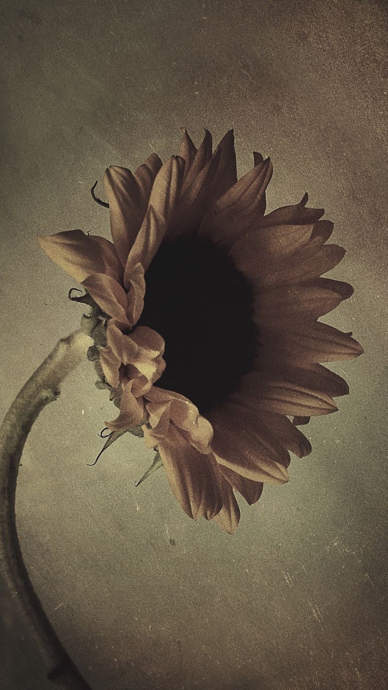 1242x2208 px, paysage, verticale, Affichage du portrait