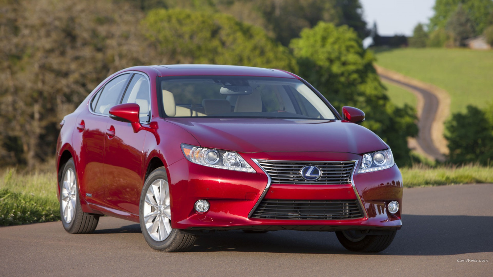 car, vehicle, Lexus, Sedan, Lexus ES300h, wheel, land vehicle, automotive design, automobile make, executive car, mid size car, lexus es
