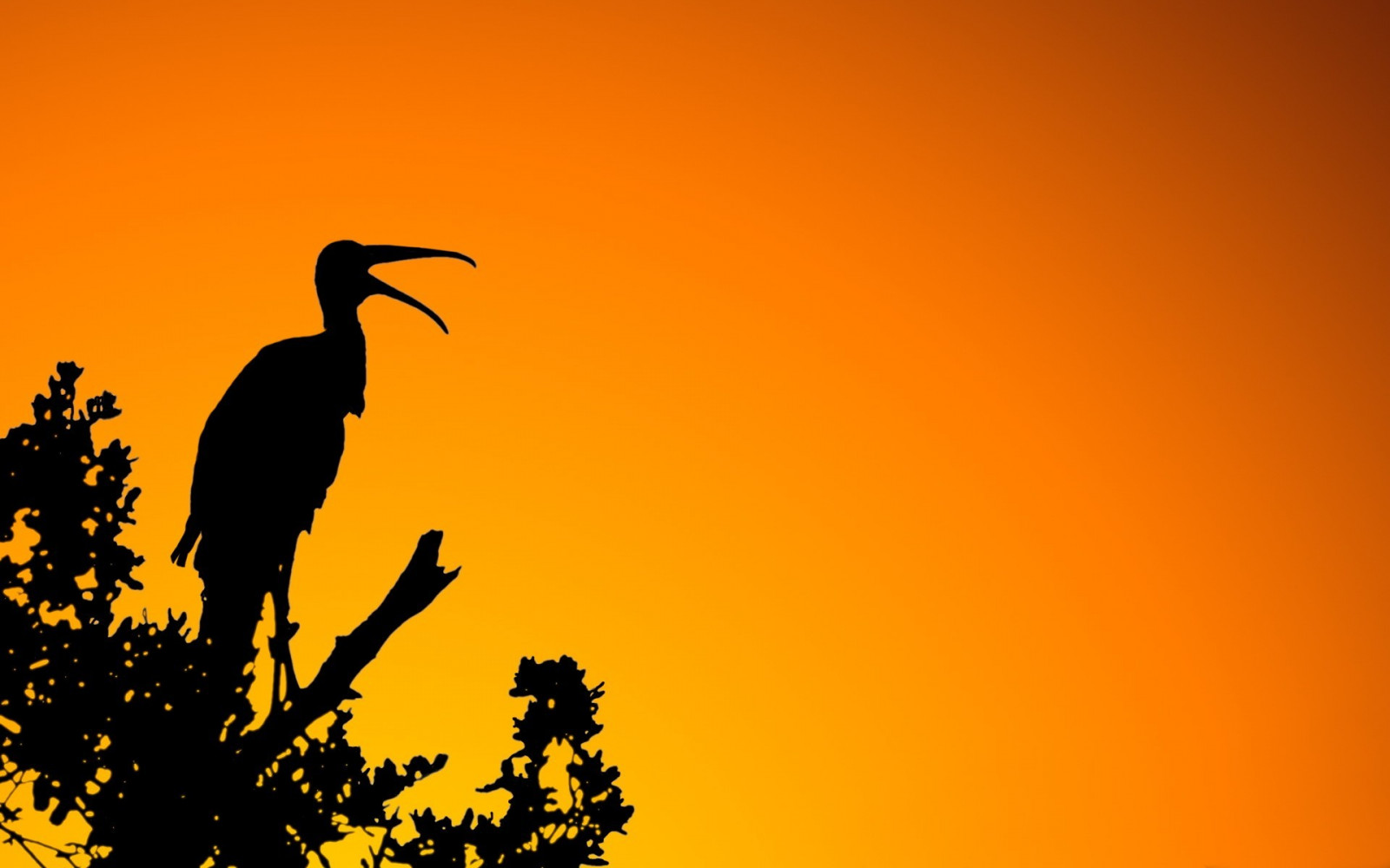 alberi, illustrazione, uccelli, animali, tramonto, natura, fotografia, silhouette, ramo, giallo, mattina, arancia, uccello, 1920x1200 px, sfondo del computer, savana