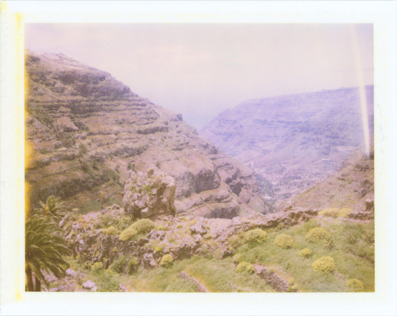 690, 690200808, analogový, automatic100, Canarias, Kanárské ostrovy, prošlý, Expired2008, film, instantní film, lagomera, landcamera, marianrainerharbach, model100, hory, packfilm, palmy, Polaroid, Španělsko, type100