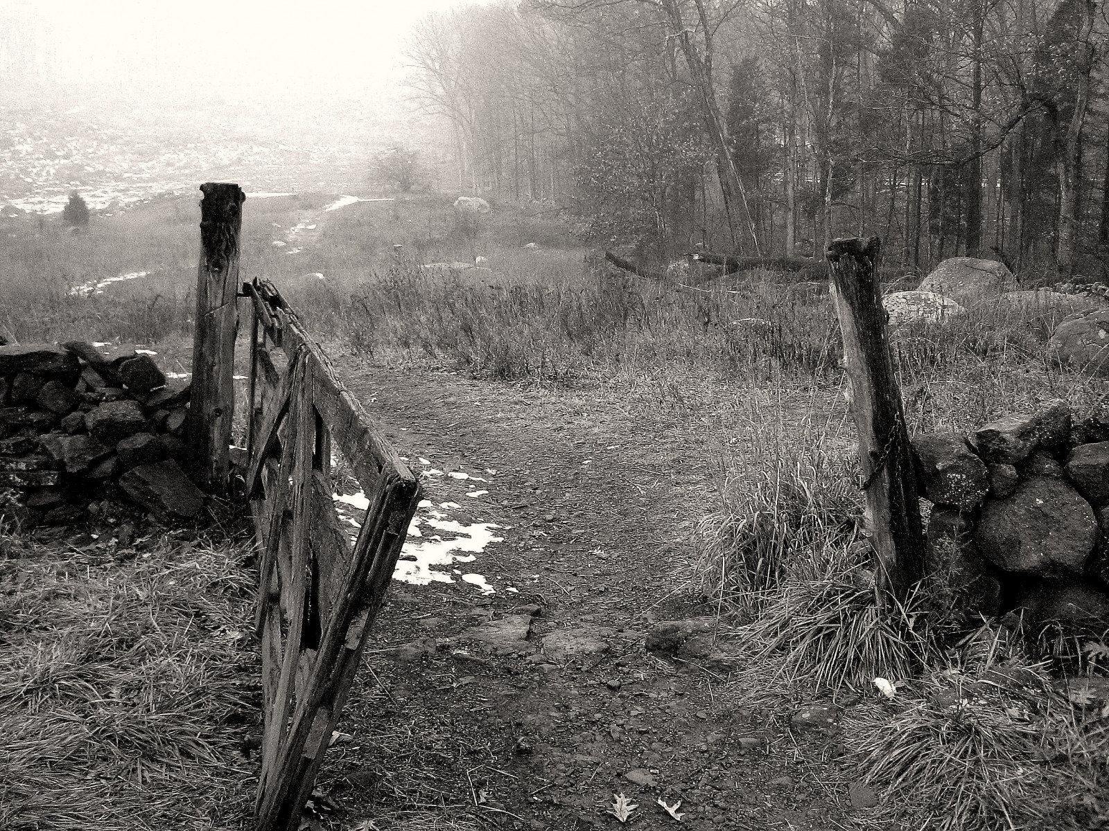 mlha, dějiny, pole, mlha, plot, brána, Pennsylvania, devils, historický, komplic, Gettysburg, občanská válka, ďábel, Bojiště, Devilsden, flickrbestpics, Favouritecapture, mygearandme, mygearandmepremium, mygearandmebronze, mygearandmesilver, mygearandmegold