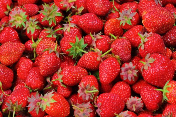 food,fruit,strawberries,berries,plant,berry