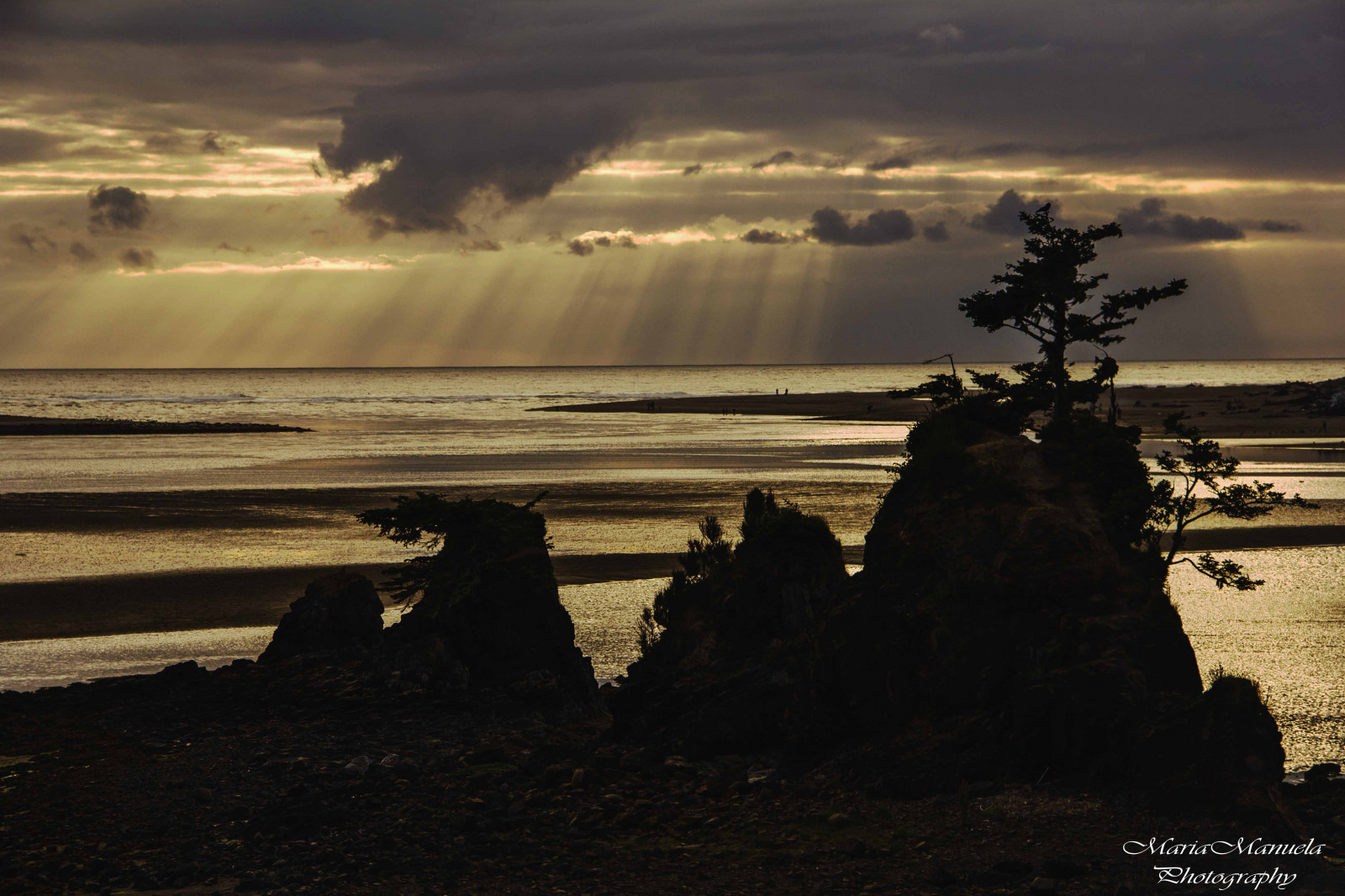 sollys, landskab, solnedgang, hav, vand, klippe, natur, kyst, sand, himmel, fotografering, strand, solopgang, berolige, Turisme, aften, kyst, orange, horisont, skumring, udforskning, frihed, Vista, Serenity, ro, fredfyldte, Sky, træ, gylden, rejse, udsigt, levende, daggry, baggrundsbelyst, atmosfærisk, ocean, goldenhour, eventyr, paradis, betagende, naturskøn, Forenede Stater, tørre, mariamanuelaphotography, traveldestination, oregoncoast, vacacion, traveltourism, passportready, meteorologisk fænomen, loveoregon, warmtone, traveloregon, oregonadventures, stock photography