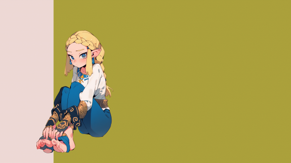 Zelda,The Legend of Zelda,braids,Braided hair,blonde,video games