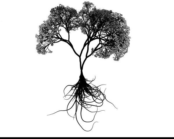 wood,tree,texture,leaves,spread,code