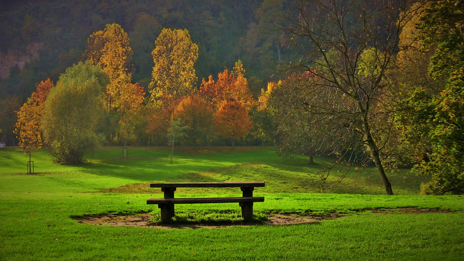 sollys, træer, landskab, Skov, have, natur, græs, parkere, grøn, morgen, Bank, træ, efterår, blad, Landschaft, blomst, plante, sæson, paisaje, natur, eng, jardin, Herbst, b ume, roba66, naturalezza, skov, garten, autunn, stuttgartammaxeythsee, landdistrikt, levested, naturligt miljø, atmosfærisk fænomen, vedplante