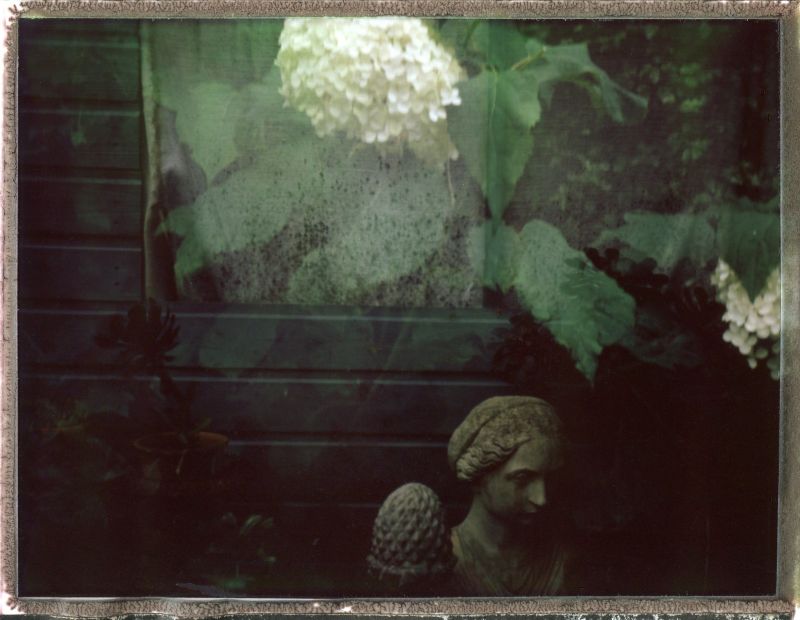 навес,лято,статуя,polaroid103landcamerafujifp100roidweek2012autauthydrangea