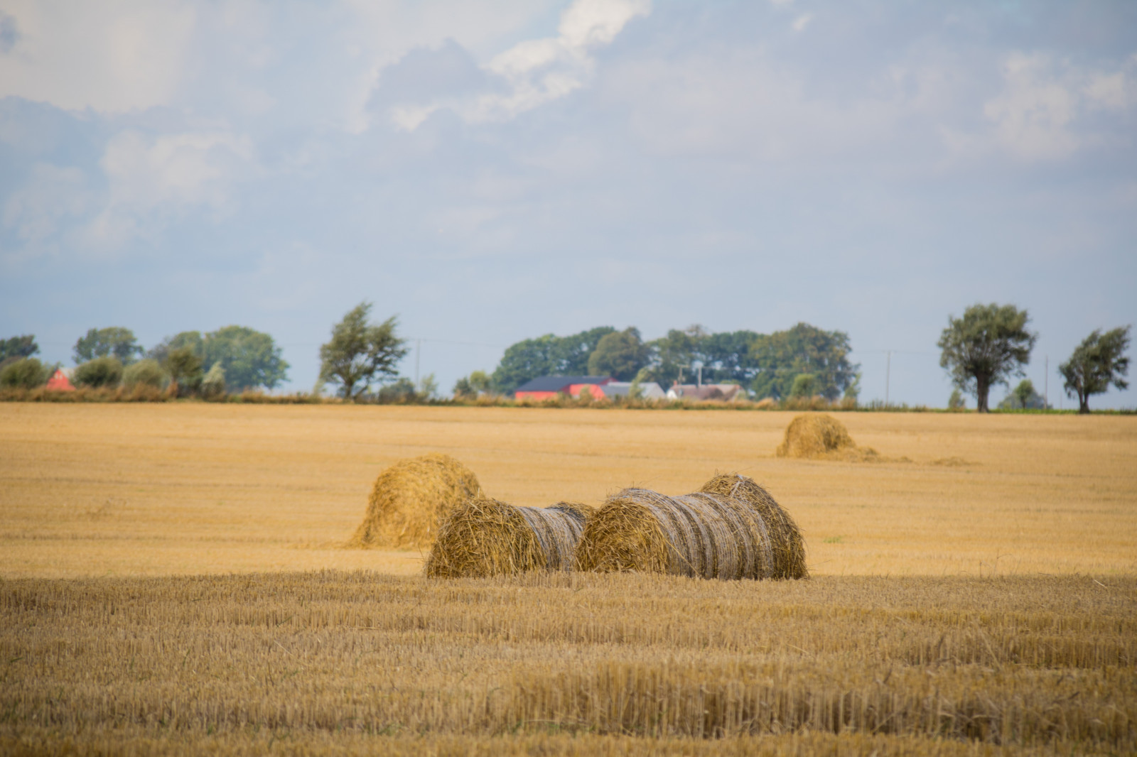 paesaggio, cibo, campo, azienda agricola, Grano, fieno, raccolto, prateria, pianta, campagna, landsbygd, s dersl TT, Landskap, modello canoneos760d exif, geocountry, Marca fotocamera Canon, Geocity, modello di fotocamera canoneos760d, geostate, geolocalizzazione, Lente exif efs18200mmf3556is, exif focalLength 200 millimetri, exif fare canon, exif ISOSPEED 100, b ste, apertura exif 63, halmrulle, halm, rotoli, strawrolls, agricoltura, pianura, prateria, raccolto, suolo, area rurale, famiglia di erba