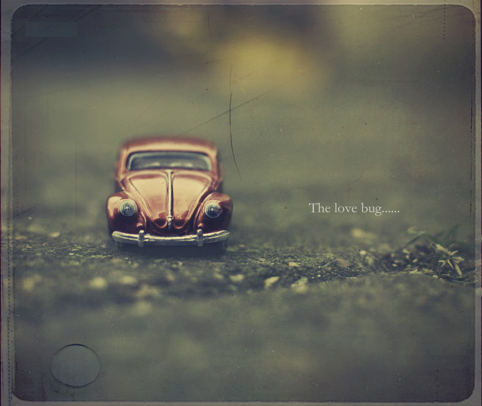 vw, 35MM, štěnice, Nikon, Drsný, Brouk, NIKKOR, texturebylesbrumes