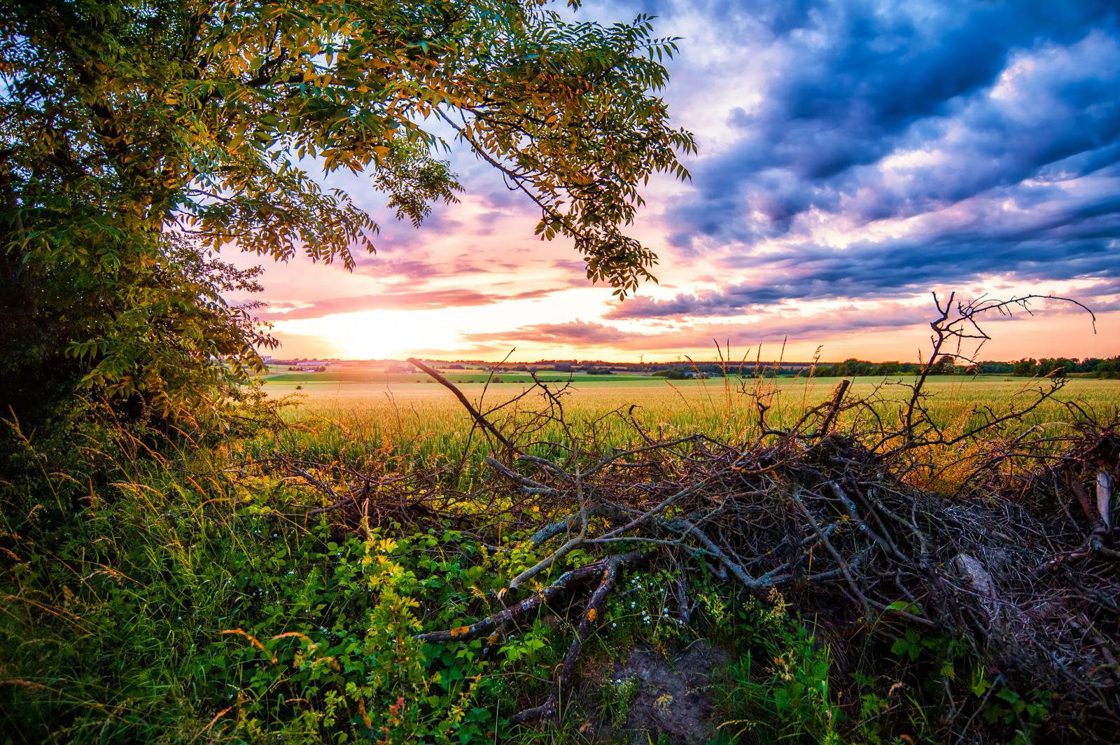 slunečnímu záření, krajina, západ slunce, květiny, abstraktní, kopec, voda, Příroda, odraz, tráva, nebe, pole, mraky, větev, svítání, večer, ráno, slunce, hospodařit, horizont, Nikon, divočina, soumrak, jasný, mrtví, banka, mokřadní, světlo, mrak, strom, list, barvy, zírající, Pohled, svítání, rostlina, růst, nastavení, zemědělství, větve, Lund, pole, barvy, louka, D700, hromada, prérie, oblaky, oříznutí, tráva rodina, meteorologický jev, appe, Skane, Západ slunce