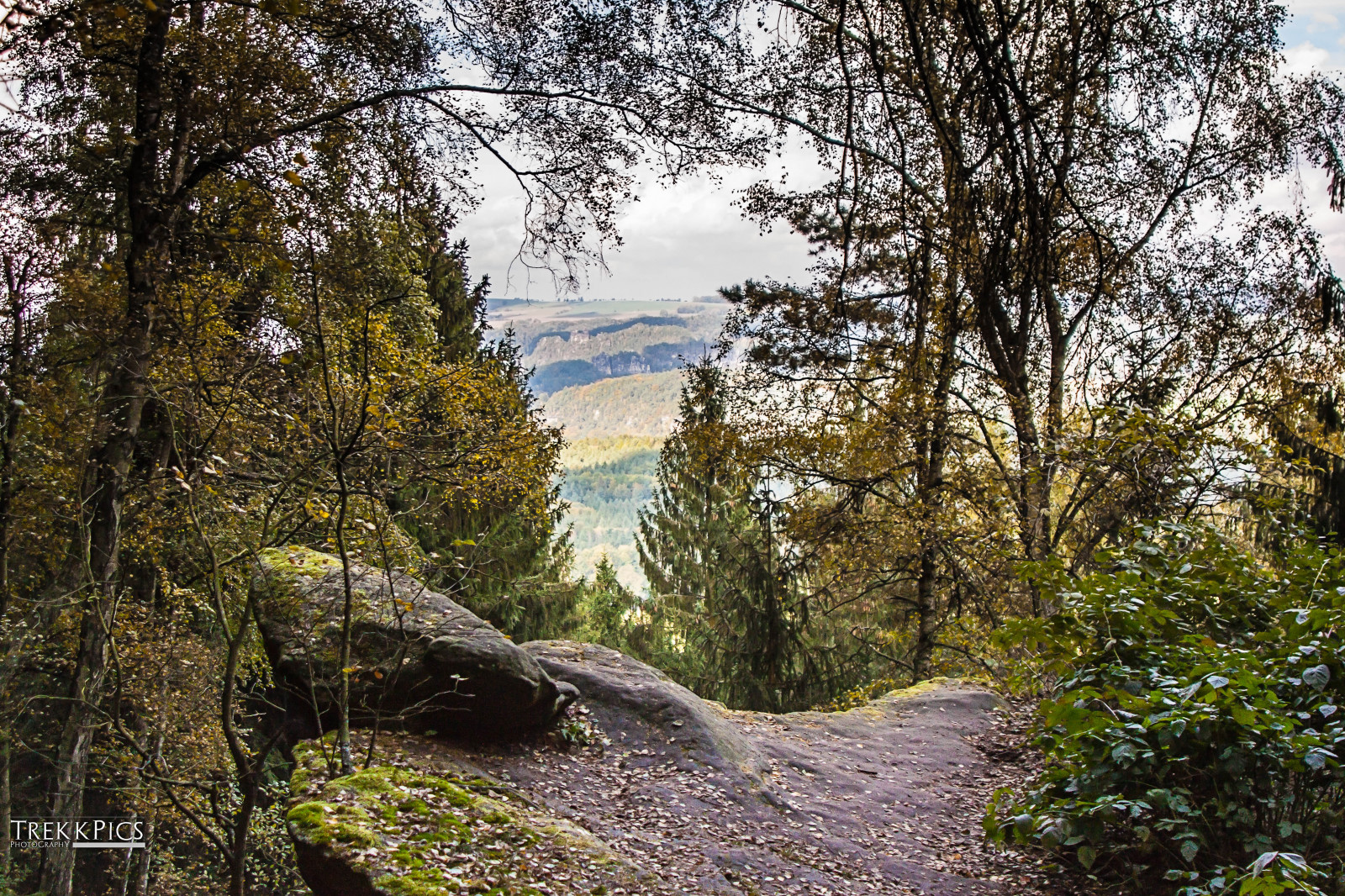 les, Příroda, park, řeka, Kánon, telefon, divočina, proud, Drážďany, chůze, Labe, Bastei, hřbet, K nigstein, 2016, strom, jablko, podzim, cestovat, list, hora, sezóna, stezka, špatný, berg, národní park, 4s, dobrodružství, foto, eos, Schweiz, Reise, colourartaward, Prag, praha, personen, sachsen, zálesí, Gebirge, Wasserfall, Felsen, bahn, groser, wandern, Aussicht, na vrchol, Šikovný, s chsische, b hmische, esk, v carsko, Tschechien, Schandau, bahnhof, Lilien, Stein, Lichtenhainer, Kirnitzschtal, Luchs, Gehege, Aufzug, Kuhstall, kleiner, Winterberg, kipphorn, Kreuz, Lilienstein, Labe