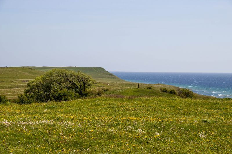 sea,grass,landscape,hill,rock,shore