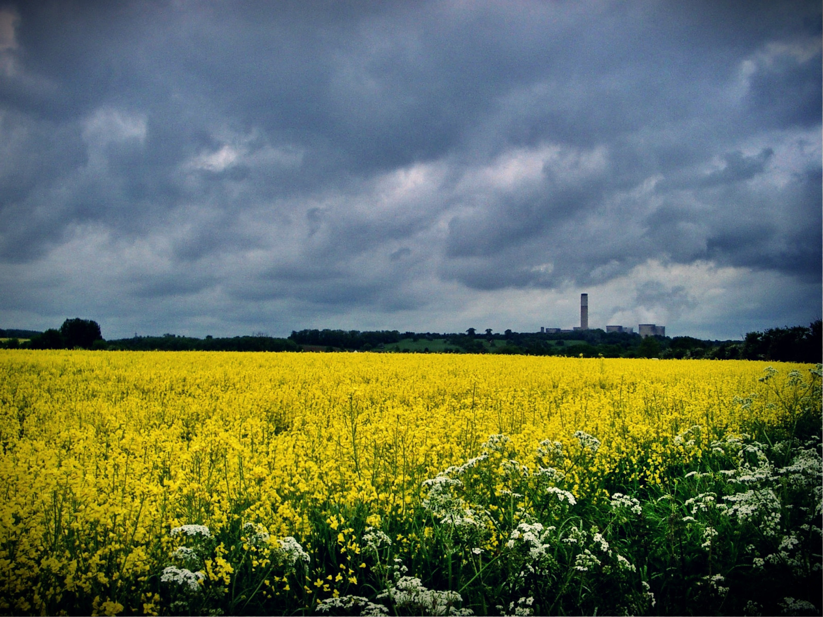 Nottingham, květiny, komín, rostlina, květ, věž, pole, stanice, žlutý, mraky, kráva, Napájení, pentax, Ratcliffe, hospodařit, kouř, věže, louka, GIMP, znásilnění, hořící, Trent, barton, Optio, uhlí, Gotham, clifton, elektrárna, komíny, Nottinghamshire, Stoupat, chlazení, Notts, Ruddington, Optios, Ratcliffeonsoar, Angiospermu, Cowparseley, Parseley, photoscape, Bartonfabis