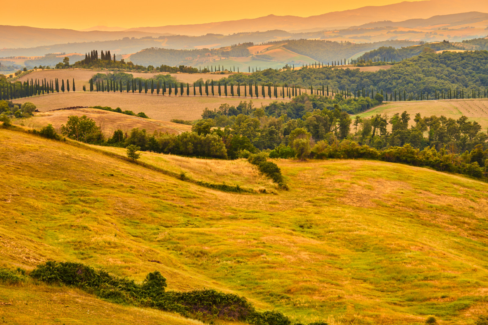 slunečnímu záření, krajina, 500px, Itálie, kopec, Příroda, tráva, nebe, pole, večer, ráno, hospodařit, horizont, národní park, divočina, Evropa, mount scenérie, tundra, plošina, venkovský, strom, hora, svítání, lučina, Italia, západy slunce, pastvina, landscapephotography, zemědělství, louka, prostý, sonya7, toscana, travelphotography, viajes, Tokina, vysočina, prérie, ultrawideangle, Valdorcia, 16mm, ranč, venkov, počítač tapeta, stanice hill, klesl, ekoregion, sráz, Postales