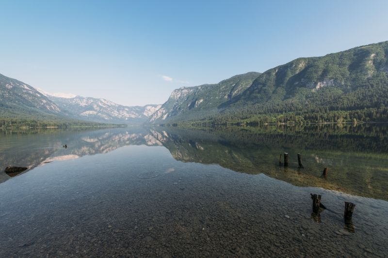stromy, krajina, moře, jezero, voda, kopec stromy, krajina, moře, jezero, voda, kopec