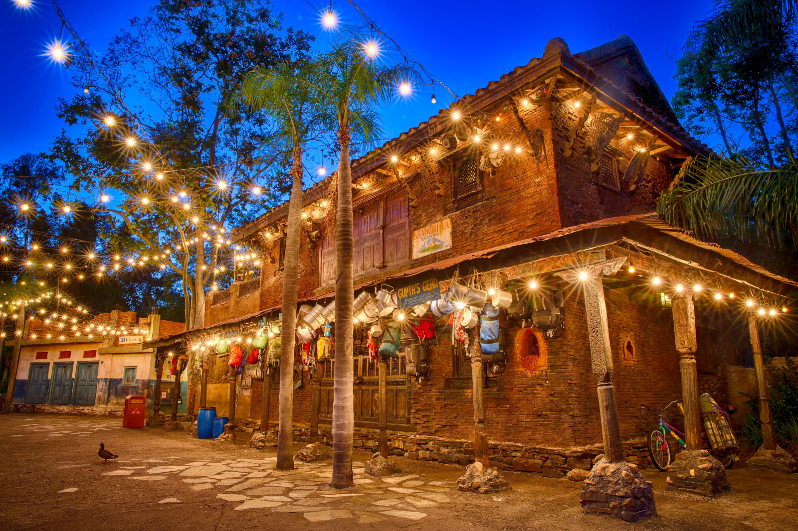 Ozubené kolo, bluehour, waltdisneyworld, zábavní park, zvířecí království, Gupta, kurtmiller, canon5dmarkiii, canon5dmark3
