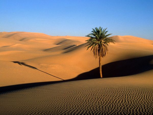 landscape,sand,sky,horizon,evening,desert