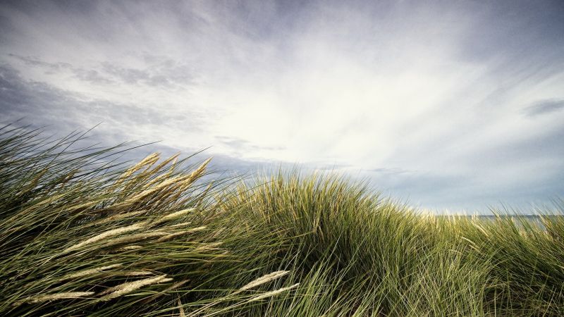 sunlight, landscape, sea, hill, nature, sand sunlight, landscape, sea, hill, nature, sand