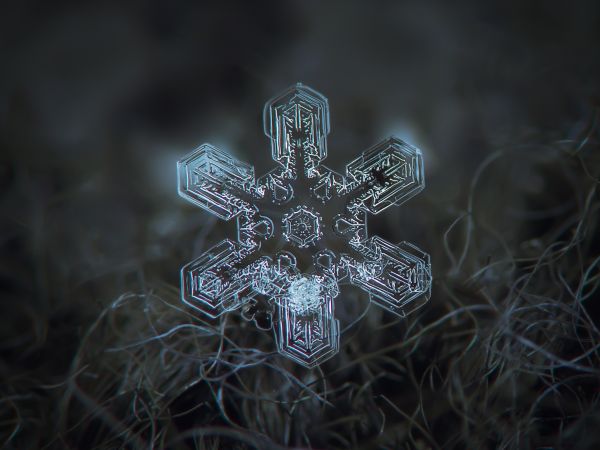 dark,abstract,snow,winter,closeup,macro