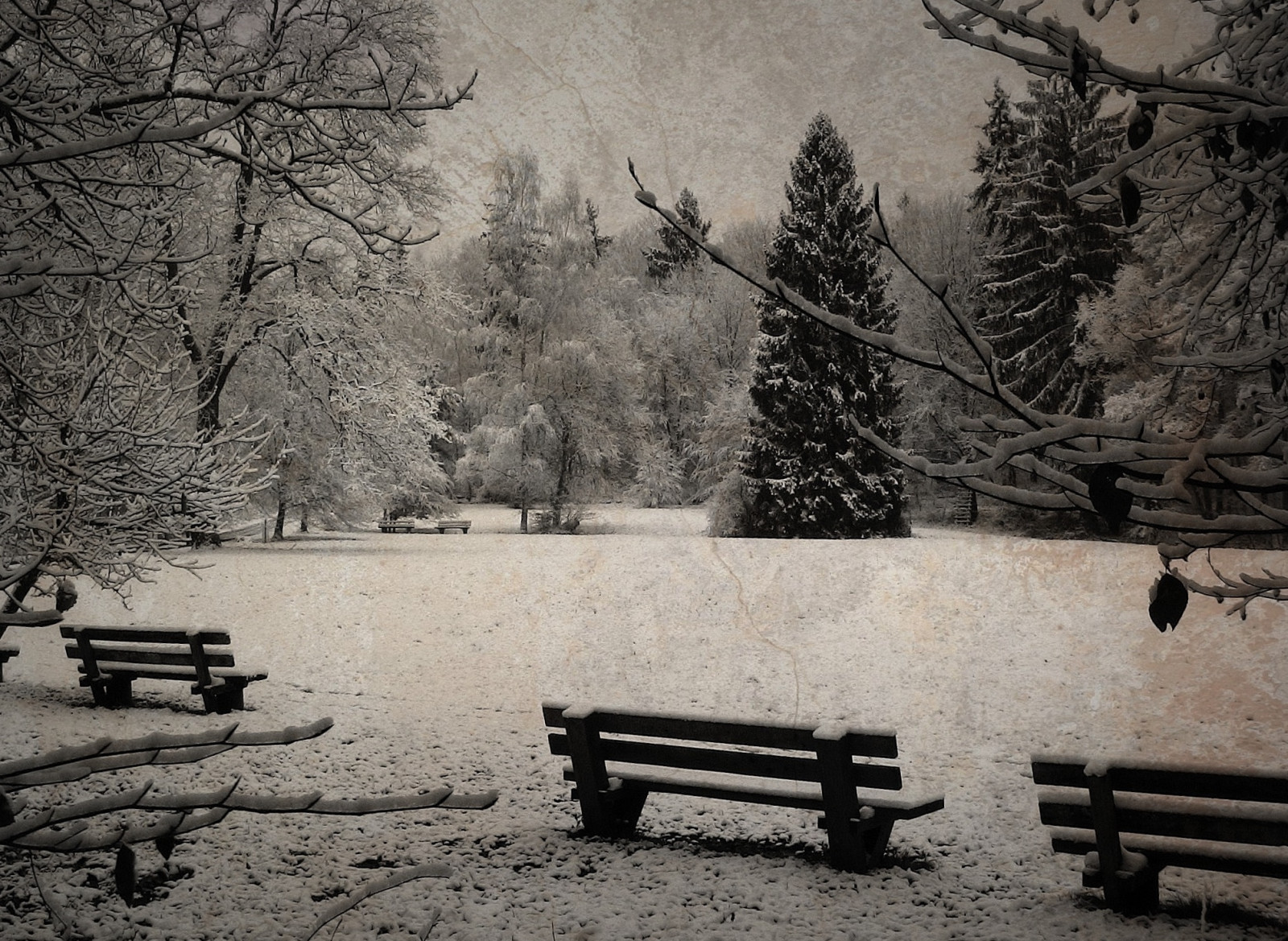 træer, landskab, monokrom, have, natur, parkere, sne, vinter, is, morgen, træ, rejse, Landschaft, vejr, udforske, sæson, bw, paisaje, Arboles, natur, mørke, SW, jardin, wald, Schnee, baum, rejser, urlaub, parc, b ume, reisen, roba66, naturalezza, effecte, alberi, ILU, garten, Arbes, sort og hvid, monokrom fotografering, d hiver, Baden-Württemberg, Leonberg, b renseen