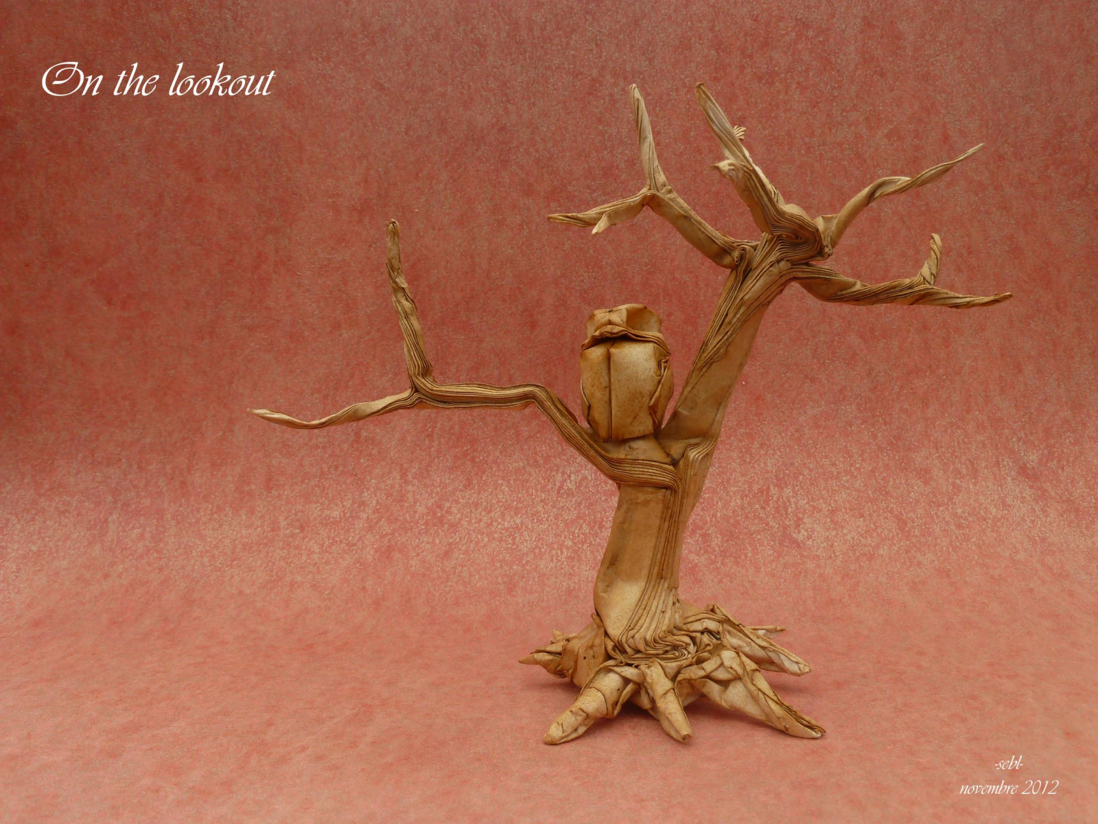 slon, strom, papír, origami, pozor, mc, skrýt, sova, rozjímání, Šebl