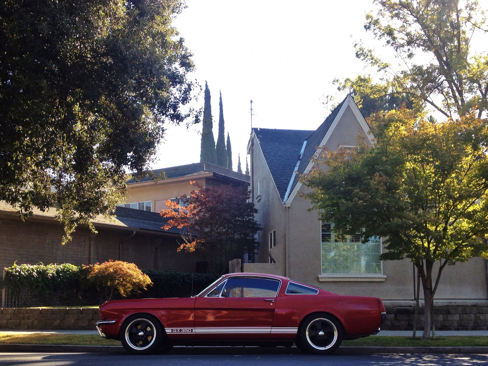 แนวนอน, ถนน, รถ, เมือง, สีแดง, ยานพาหนะ, เหล้าองุ่น, รถสปอร์ต, ฟอร์ด, ย่าน, hotwheels, ซีดาน, GT, ดู, ความงาม, ความเร็ว, 350, คลาสสิก, กล้ามเนื้อ, งดงาม, mach, แรงม้า, ยานพาหนะบก, การออกแบบยานยนต์, ภายนอกยานยนต์, รถยนต์ทำ, รถหรู, Stockton, vroooom, poleposition