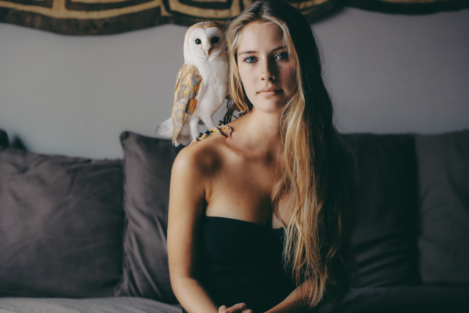 tvář, ptactvo, zvěř, ženy, model, portrét, blondýnka, dlouhé vlasy, modré oči, holá ramena, fotografování, šaty, gauč, šaty bez ramínek, móda, vlasy, Camille Rochette, sova, Osoba, dívka, krása, žena, dáma, fotografie, účes, portrétní fotografie, focení, hnědé vlasy, umění model