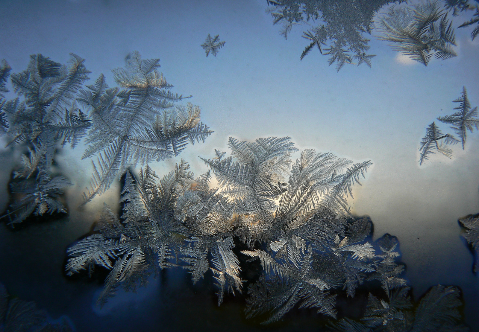 zima, Studený, Příroda, mráz, Okenní pole