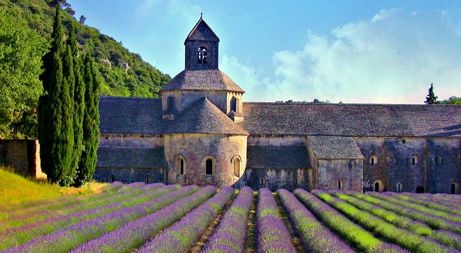 město, cestovat, Dům, Francie, budova, dějiny, Cestovní ruch, kostel, památník, Opatství, arquitetura, architektura, reisen, Frankreich, platz, Urlaub, levandule, Kathedrale, catedral, kirche, haus, místa, návštěva, historický, prozkoumat, klášter, architektur, historický, Provence, Iglesias, francia, franca, bau, fasáda, kloster, fassade, Historie, plavby, h uživatel, Geschichte, Lavendel, lavende, Abtei, notredamedes nanque, kulturdenkmal, santuarios, Provenca, roba66, abteides nanque