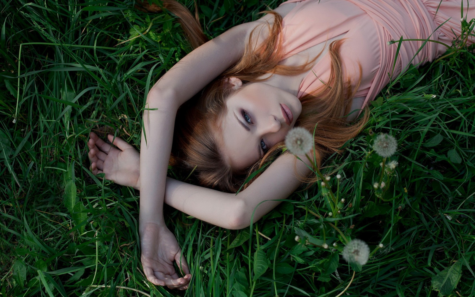 日光, 森林, 女性, モデル, ポートレート, 青い目, ブルネット, 草, 写真, ドレス, 緑, ヘア, 人, 肌, 衣類, 花, 女の子, 美しさ, 眼, ハンド, レディ, センス, ブロンド, 肖像写真, 写真撮影, アートモデル