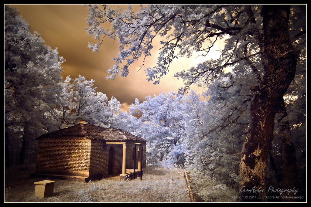 แสงแดด, แนวนอน, ป่า, สถาปัตยกรรม, ฤดูหนาว, สาขา, เช้า, ดอกซากุระ, กรีซ, เบ่งบาน, คริสตจักร, ฤดูใบไม้ผลิ, dreamcape, อินฟราเรด, ความยาวนาน, ต้นไม้, ฤดูใบไม้ร่วง, ภูเขา, ดอกไม้, ปลูก, ฤดู, Hoya, nikond7100, tokinapro, econandre, oldchurch, ฝัน, ฐา, Zagoria, ioannina, การถ่ายภาพ, Pindos, epirus, ภาพอินฟราเรด, tokinalens, ชาวพินดุ, Kavalari, zagoroxoria, Redempion, zagoroxwria, Kavallari, anatoliko, โรคกระเพาะ, anatolikozagori, aksiotheata, eastzagori, aksiotheatazagoroxoria