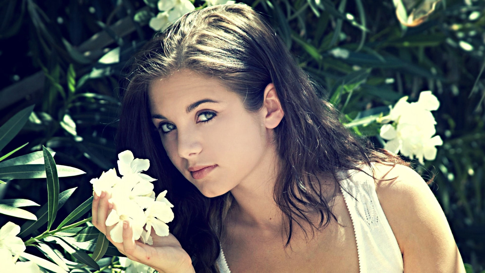cara, modelo, retrato, morena, fotografia, vestir, moda, cabelo, Primavera, Pessoa, pele, árvore, flor, menina, beleza, sorrir, olho, mulher, senhora, Veja, noiva, fotografia, Penteado, Fotografia de retrato, sessão de fotos