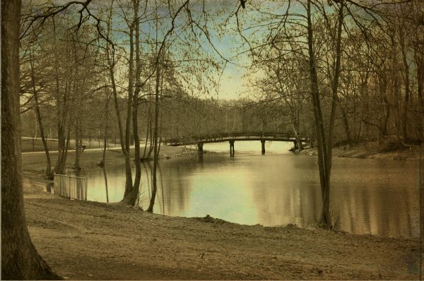 park,trees,light,sky,bridge,holland