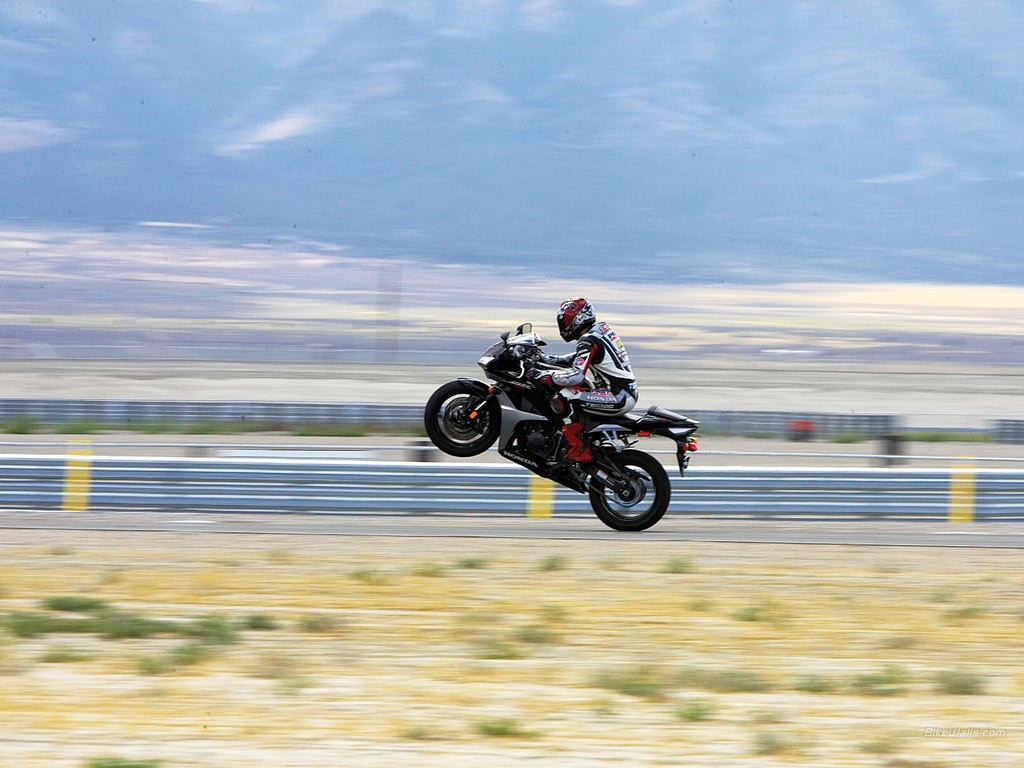 bil, motorcykel, køretøj, Honda, motocross, væddeløb, race, motorsport, motorcykler, stuntman, jord køretøj, bil make, ekstrem sport, off road, motorcykel racing, stunt