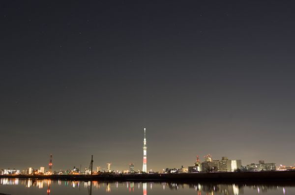 Japan,city,cityscape,night,architecture,reflection