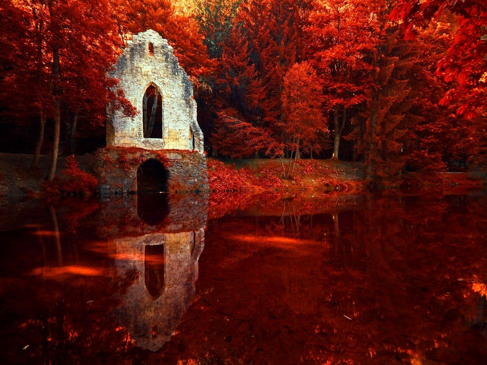фото красной осени сделать фотошопе