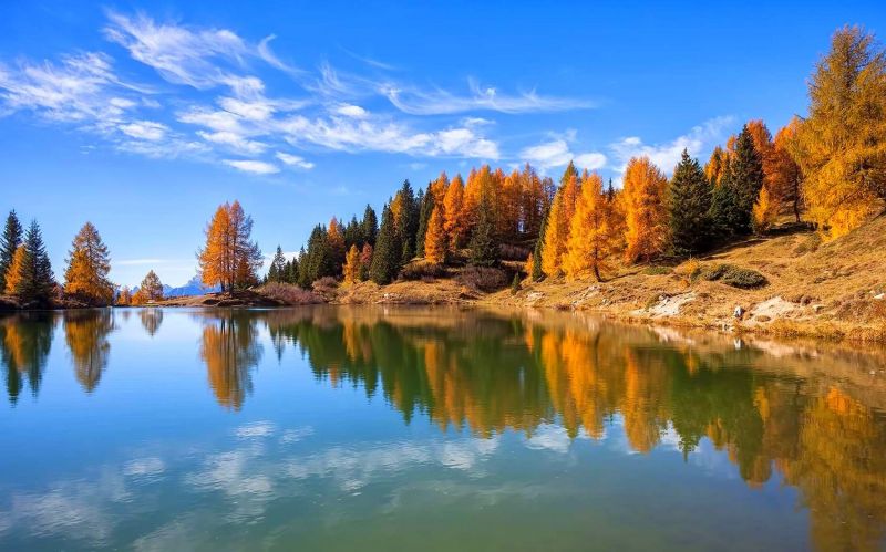 stromy, krajina, les, podzim, Itálie, jezero stromy, krajina, les, podzim, Itálie, jezero