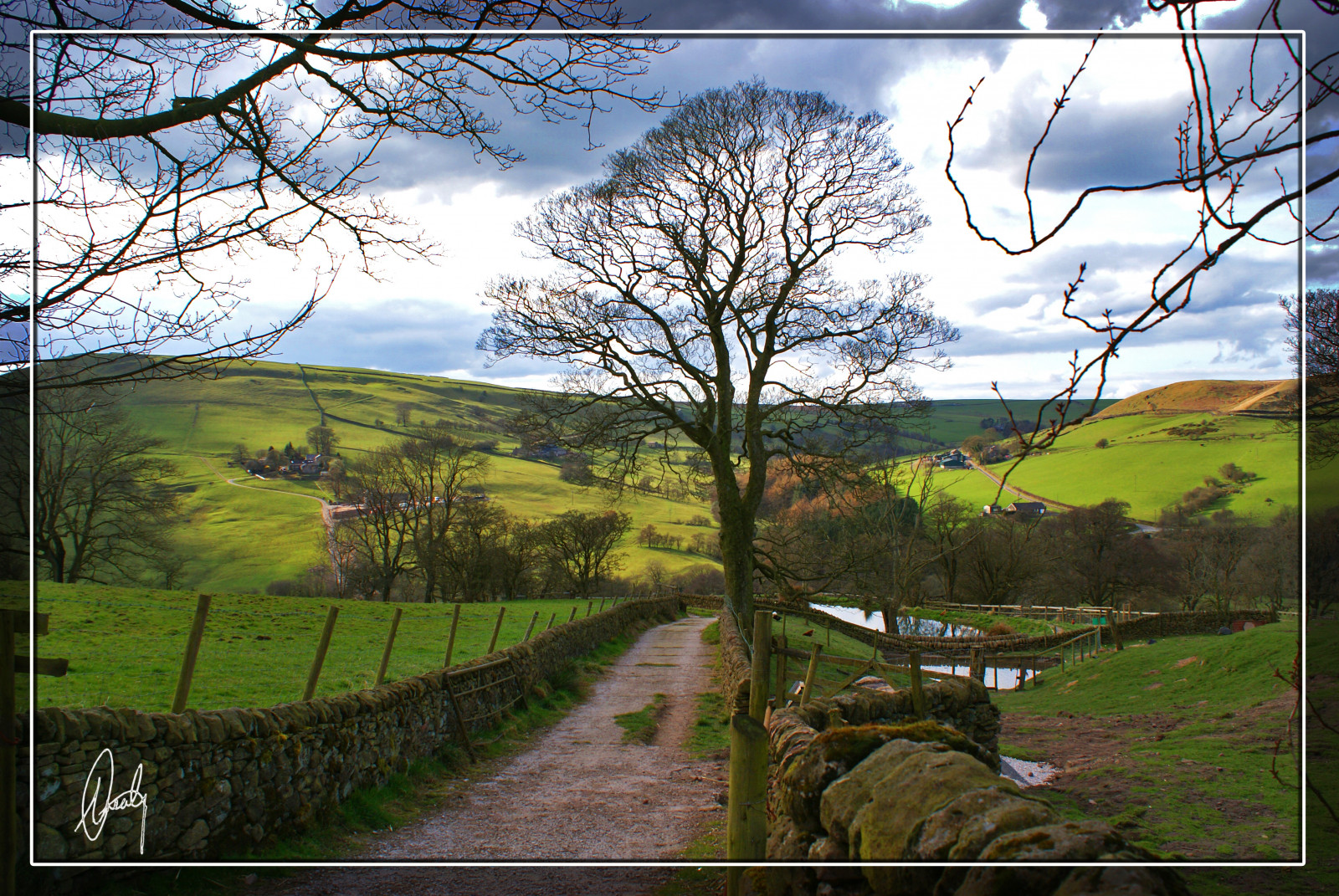Wallpaper : colour, tree, countryside, scenery, view, hills, lane ...