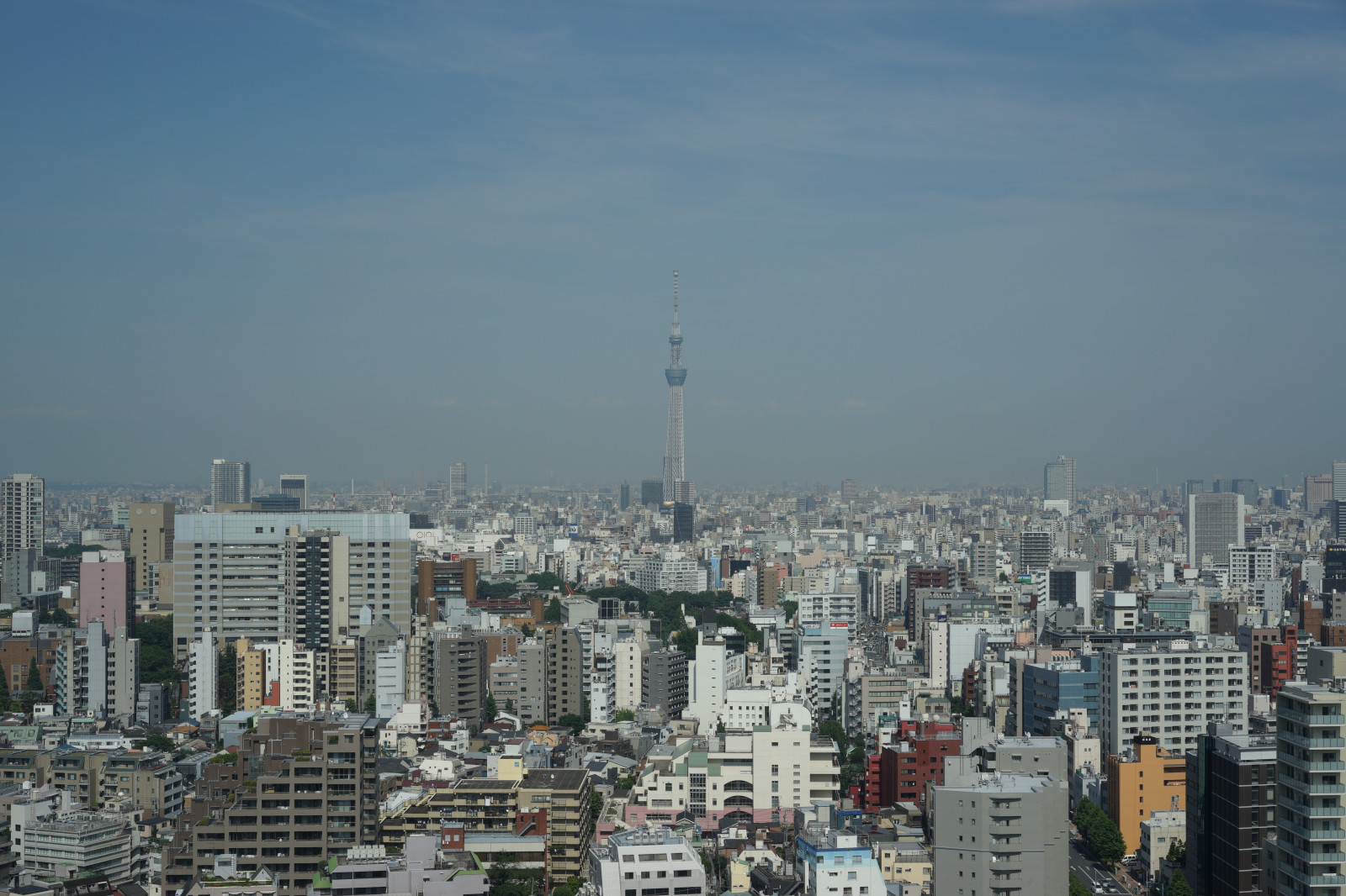 město, panoráma města, panoráma, mrakodrap, věž, horizont, Sony, panoráma, ptačí perspektivy, metropole, Tokio, 7, centrum, Zeiss, T, Tokyo Sky Tree, alfa, alfa-7, 55mm, Sonnar, sonnart55mmf18, ILEC, Bunkyo, skytee, urban area, Atmosféra Země, Metropolitní oblast, lidské osídlení, sousedství, obytný prostor, panelový dům, letecké snímkování