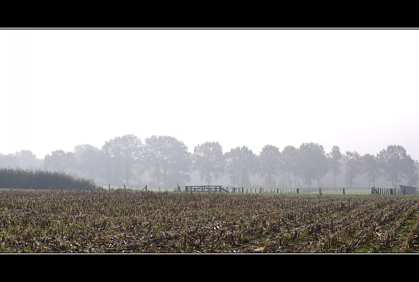 ráno, stromy, světlo, stín, nebe, hnědý, slunce, mlha, Černá, strom, zelená, UMĚNÍ, podzim, pole, mlhavý, mlha, svítání, temný, krajina, světla, licht, kukuřice, Nikon, nebe, Nebel, autum, vítr, pšenice, vzduch, Herbst, mlhavý, nebe, gelb, planeta, životní prostředí, Grun, braun, Landschaft, syn, Baume, Sonnenaufgang, morgen, baum, schwarz, Korn, Acker, erde, Weizen, d90, photografer, neblig