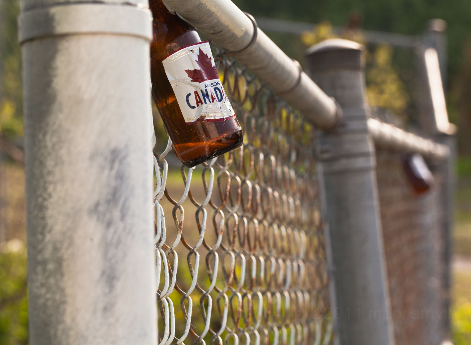 Wallpaper beer, fence, bottle, bokeh, chain, Link, Friday, hff