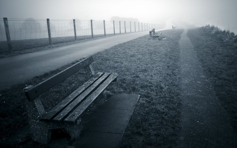 luce del sole, monocromo, erba, la neve, inverno, strada luce del sole, monocromo, erba, la neve, inverno, strada