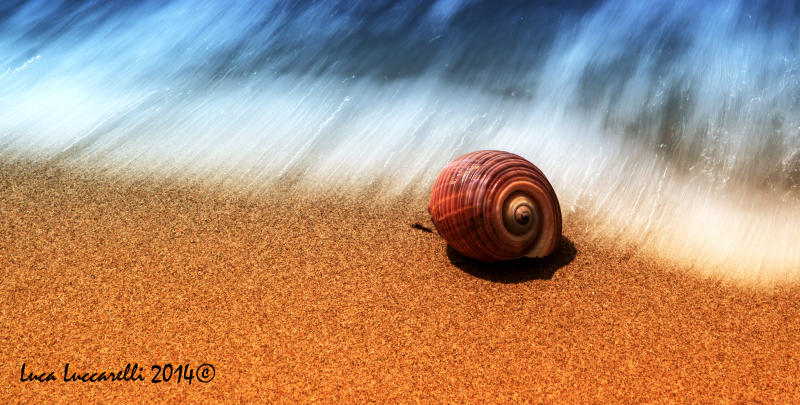 แสงแดด, พระอาทิตย์ตก, ทะเล, ธรรมชาติ, ทราย, ฟิลด์, พระอาทิตย์ขึ้น, เช้า, ดวงอาทิตย์, Canon, การท่องเที่ยว, ม้า, sigma, sabbia, Puglia, onde, sigma1770, ถิ่นที่อยู่, สภาพแวดล้อมทางธรรมชาติ, วอลล์เปเปอร์คอมพิวเตอร์, บรรยากาศของโลก, การถ่ายภาพมาโคร, ครอบครัวหญ้า, ตารันโต, Conchiglie, Massafra