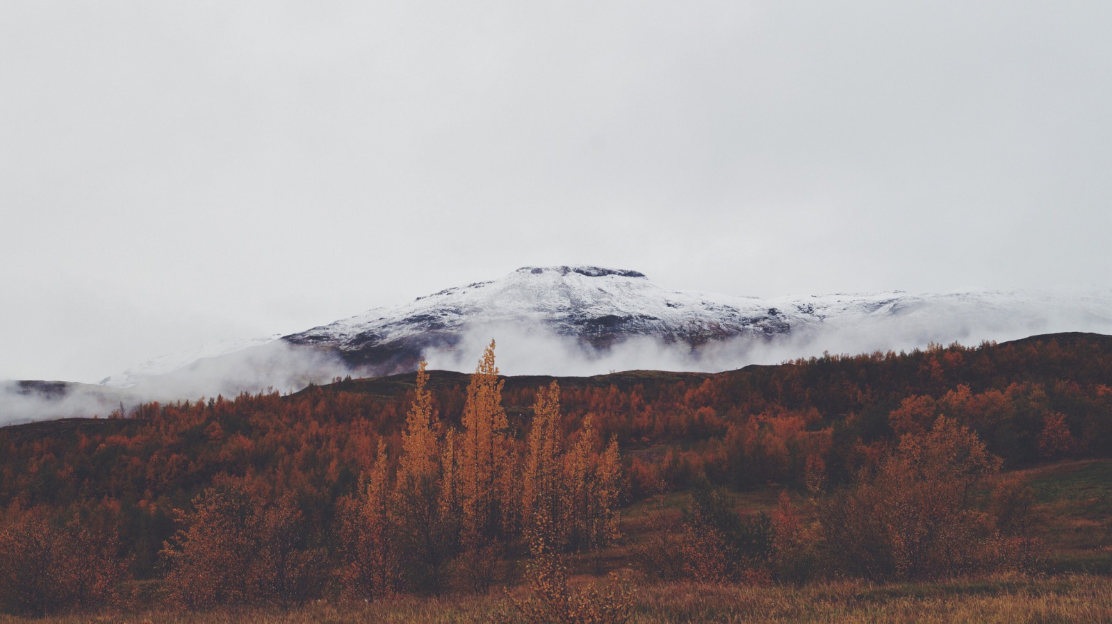 krajina, les, hory, kopec, Příroda, sníh, zima, mraky, ráno, mlha, divočina, vrcholek, plošina, hřbet, mrak, strom, hora, počasí, sezóna, jezero, atmosférický jev, horských reliéf, landform, geografický rys, geologický fenomén, pohoří, klesl