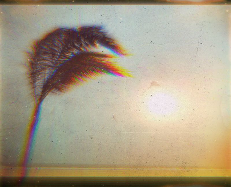 verano,pintura,cielo,playa,ART,pluma