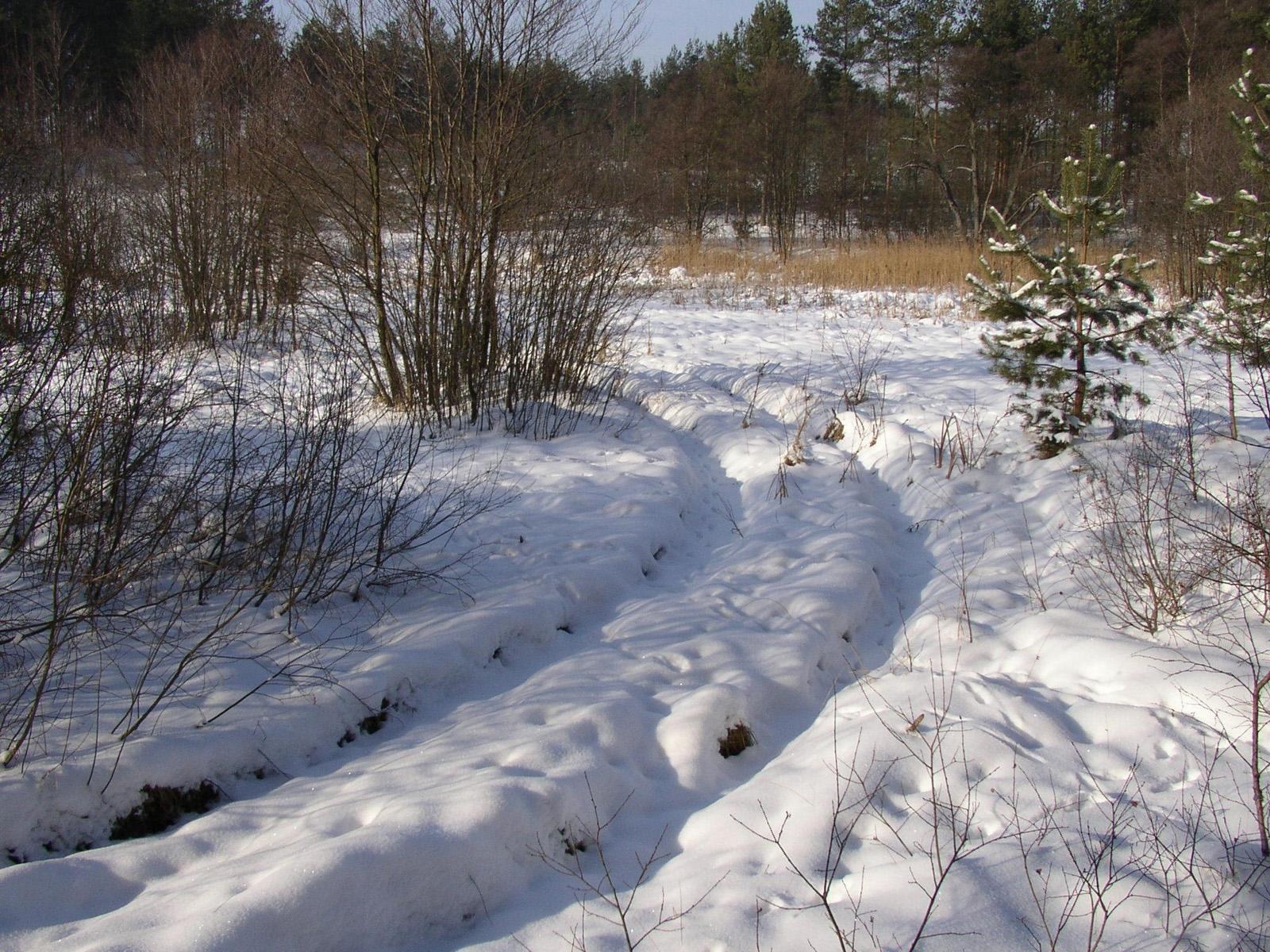 Wallpaper landscape, water, grass, sky, snow, winter, road, wood