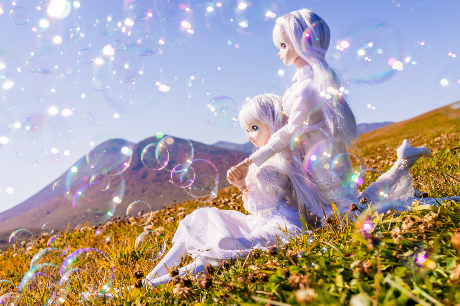 landskab, natur, græs, himmel, Sony, forår, RX1R, træ, efterår, blomst, plante, kronblad, eng, dollfiedream, dd, computer tapet, dscrx1r, cg artwork