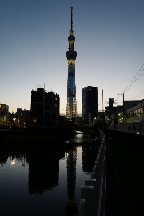 Japan,sunset,city,cityscape,night,architecture